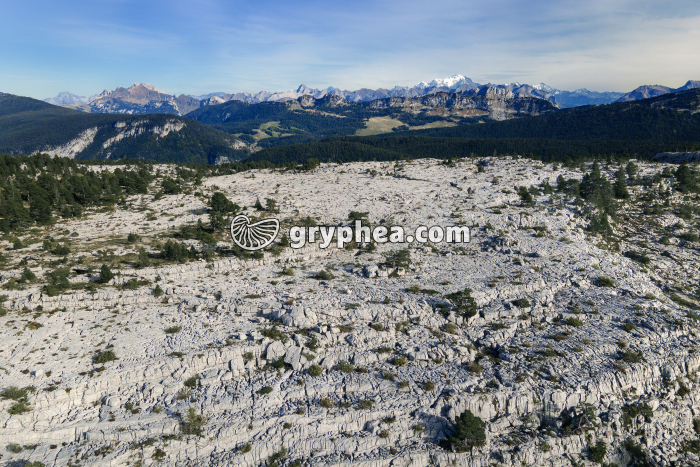 Lapiaz - Parmelan (vue aérienne) - gryphea.org